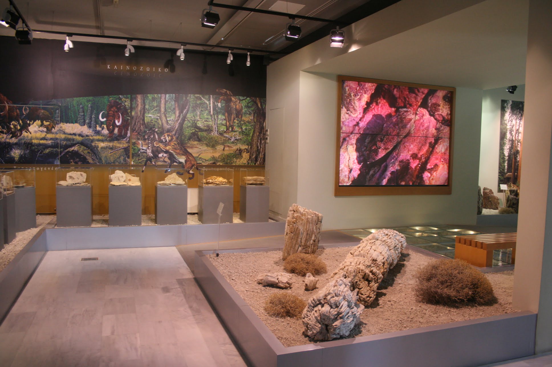 2 θέσεις στο Μουσείο Φυσικής Ιστορίας Απολιθωμένου Δάσους Λέσβου