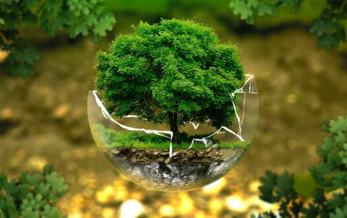 30 θέσεις στην «Οικολογία και Διαχείριση Περιβάλλοντος»