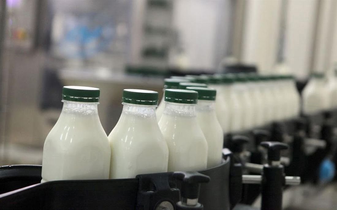 Κτηνοτρόφοι σε βιομηχανία προϊόντων γάλακτος