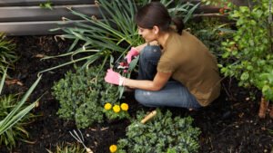 gardening