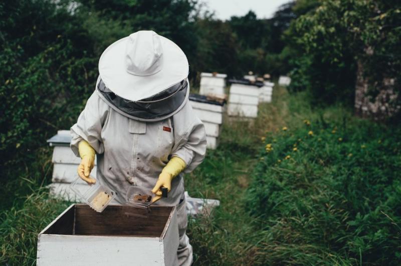 Υπ. Αγροτικής Ανάπτυξης: Έγκριση για το μελισσοκομικό πρόγραμμα 2019