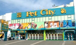 workenter pet city katastima parking