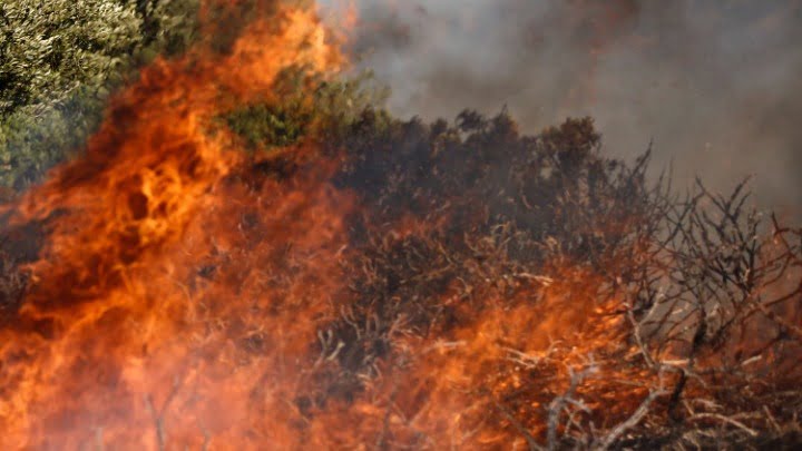 Ανεξέλεγκτη φωτιά καίει δάσος στο Λιβαδάκι Ηλείας