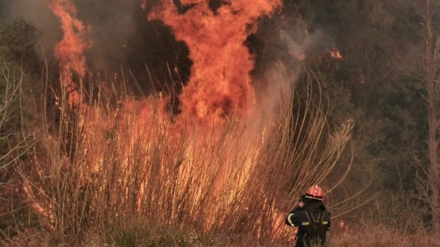 Μεγάλη φωτιά στη Χαλκιδική – Επιχειρούν 150 πυροσβέστες