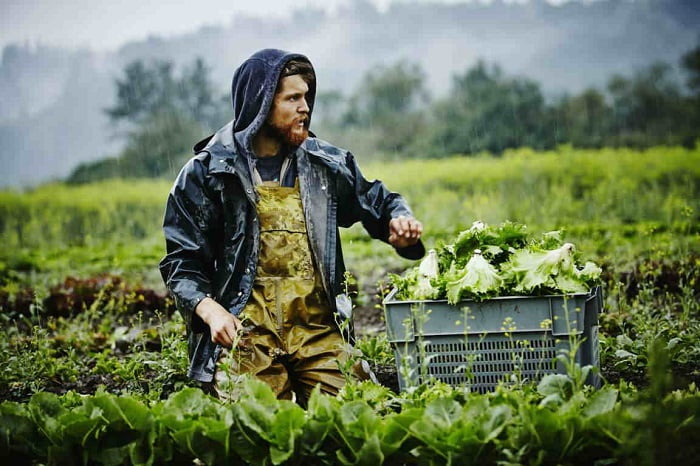 Νέοι Αγρότες: Επιδότηση έως 42.500 ευρώ