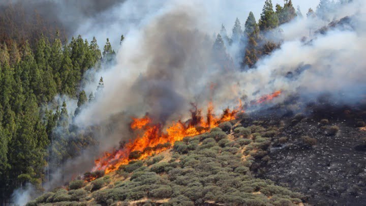 Μεγάλη φωτιά καίει δάσος στην Κερατέα