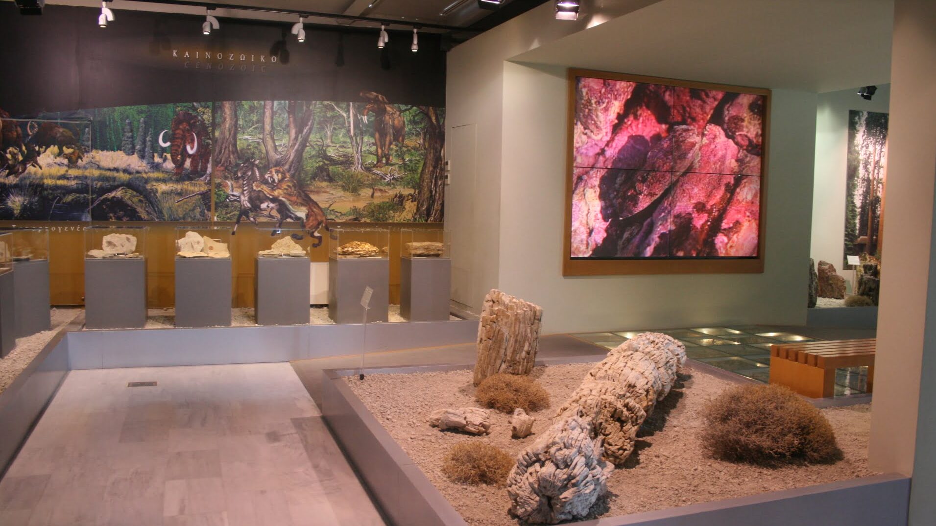 ΑΣΕΠ: Συντηρητές και εργάτες στο Μουσείο Φυσικής Ιστορίας Απολιθωμένου Δάσους στη Λέσβο