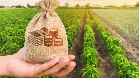 Αγροδιατροφή: Αιτήσεις για ενίσχυση έως 5 εκατ. ευρώ