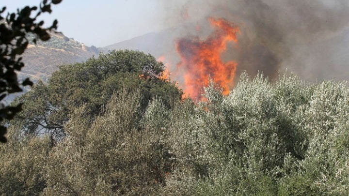 Μεγάλη φωτιά στο Πόρτο Γερμενό – Εκκενώνεται ο οικισμός Μύτικας