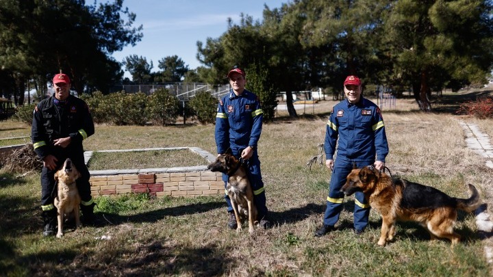 Φιντέλ, Τάλως, Έκτωρ: τα σκυλιά της 2ης ΕΜΑΚ που σώζουν ζωές (εικόνες)