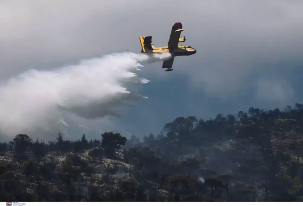 Αεροσκάφος ρίχνει νερό σε δασική έκταση που ξέσπασε πυρκαγιά