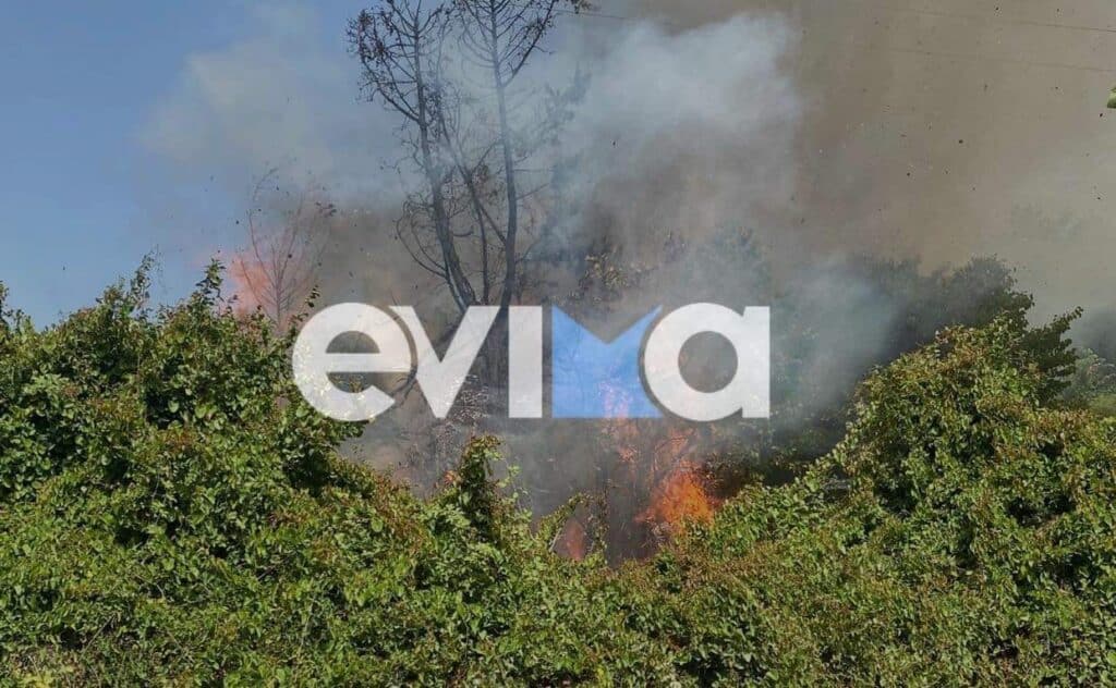 Φωτιά στην Εύβοια: Νέος συναγερμός στην Πυροσβεστική για χωριό κοντά στην Κύμη