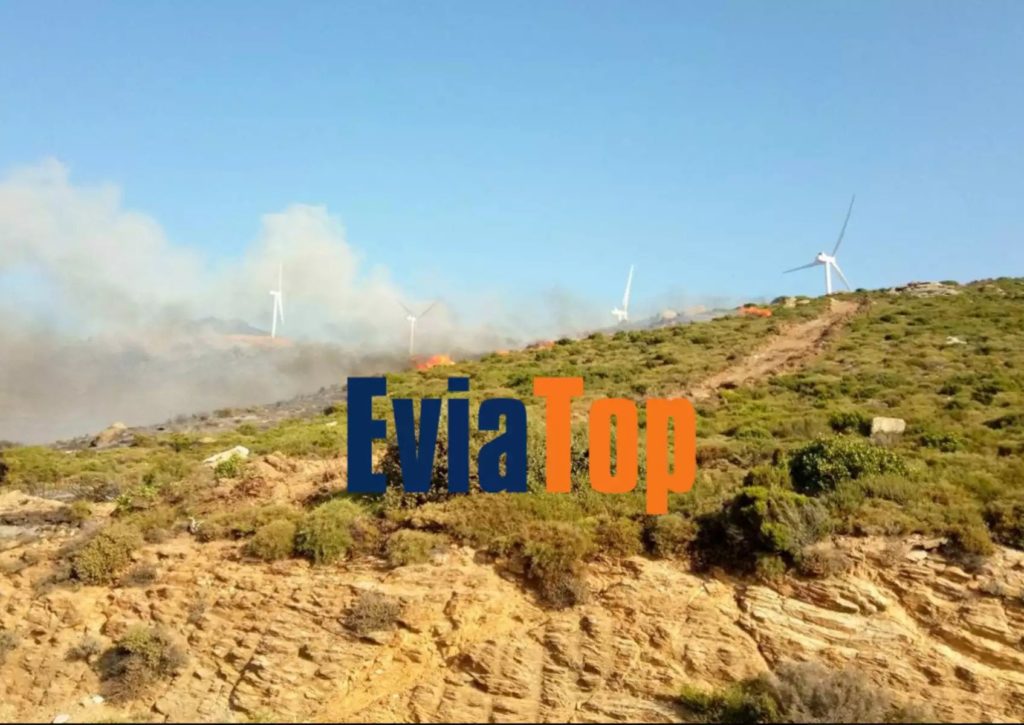 Φωτιά στην Κάρυστο: Εντολή εκκένωσης για το χωριό Πλατανιστός