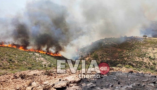 Φωτιά στην Κάρυστο: Εκκενώνεται το χωριό Άγιοι