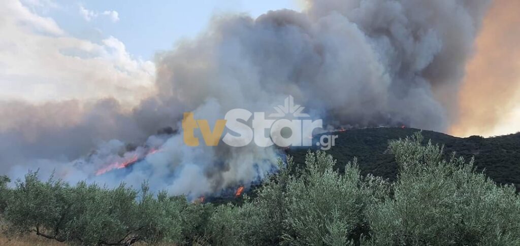 Φωτιές: Φόβος για το μέτωπο στο Στείρι Βοιωτίας – Κίνδυνος για τον Παρνασσό (Video)