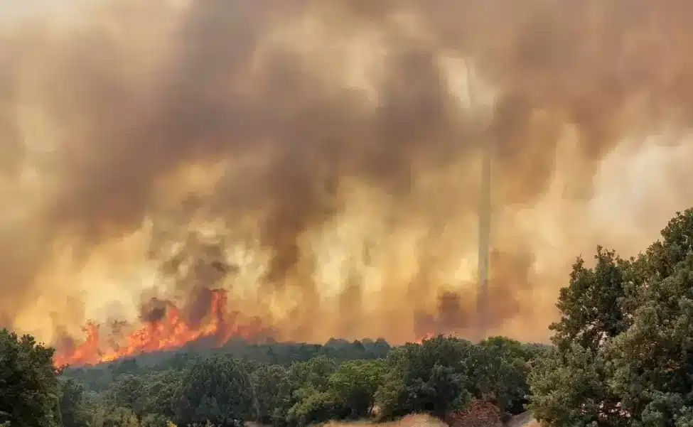 Πύρινος εφιάλτης στον Έβρο: Καίγεται το δάσος της Δαδιάς 