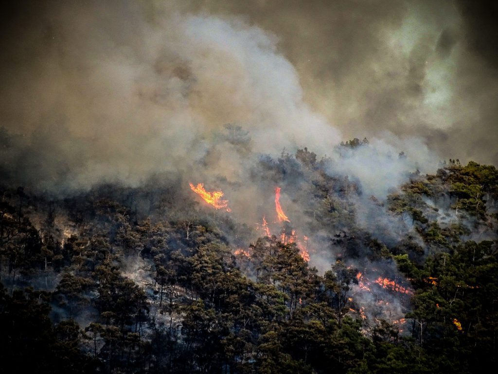 Πυρκαγιές: Άνοιξε η πλατφόρμα για την στήριξη των πληγέντων – Ποιοι και τι δικαιούνται