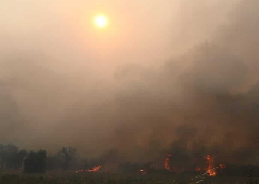 Πυρκαγιές: Μάχη με τις φλόγες για 11η ημέρα στον Έβρο