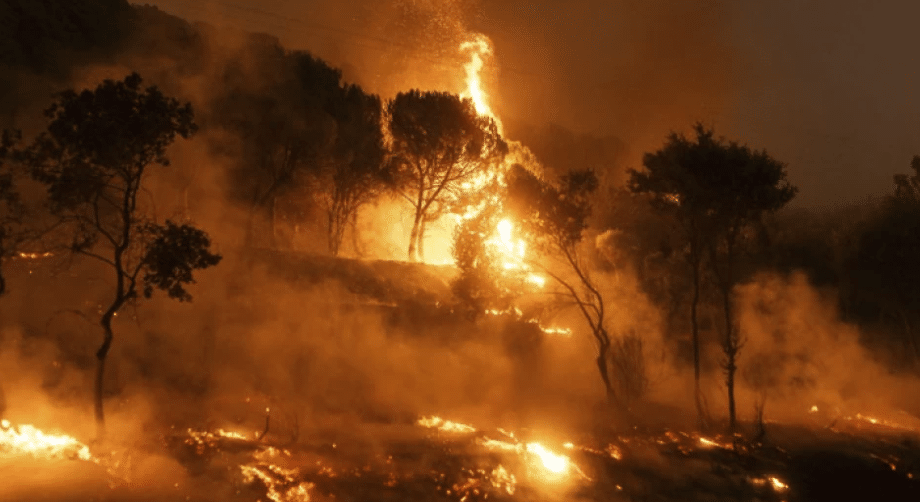 Στις φλόγες για 13η μέρα ο Έβρος – Στη Βουλή σήμερα το θέμα των πυρκαγιών