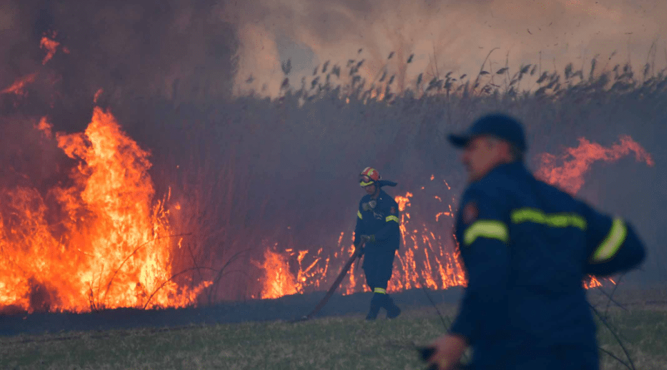 Πυροσβεστική: 99 αγροτοδασικές πυρκαγιές – Οι 55 το τελευταίο 24ώρο