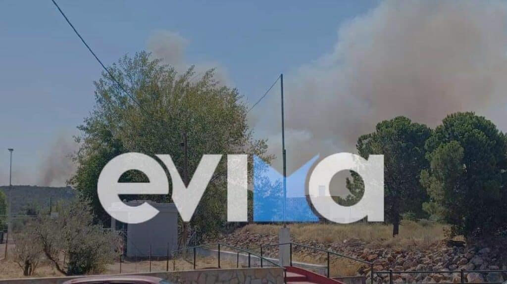 Εύβοια: Δύο ταυτόχρονες φωτιές στα Ψαχνά – Μήνυμα του 112