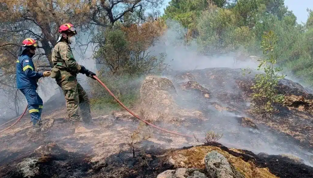 Φωτιά στον Έβρο: Τουλάχιστον 18 απανθρακωμένοι στο δάσος της Δαδιάς