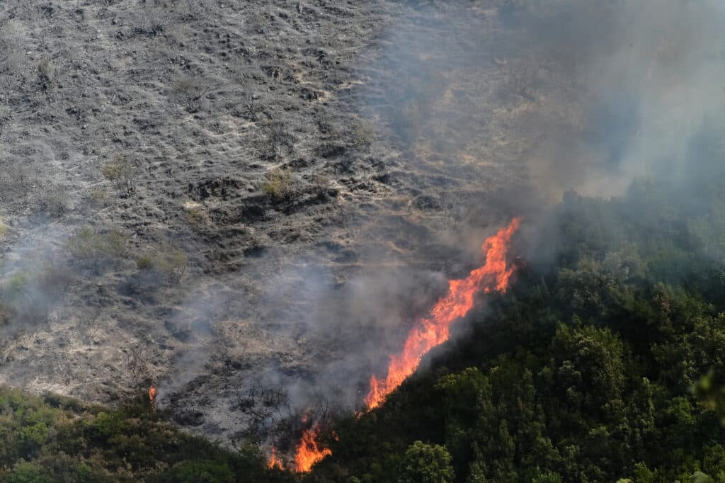 Ο χάρτης πρόβλεψης κινδύνου πυρκαγιάς για την Πέμπτη – Ποιες περιοχές κινδυνεύουν