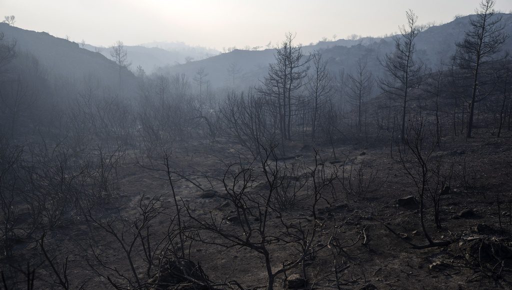 Φωτιές: Σοκάρουν τα στοιχεία του Meteo-Καταγράφηκε 270% αύξηση στις καμένες εκτάσεις