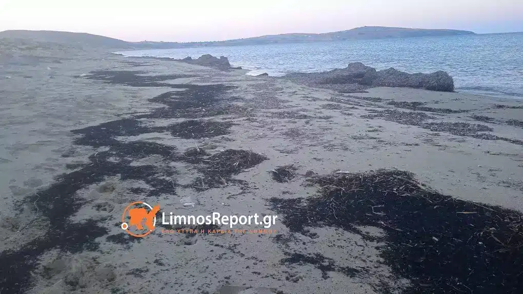 Φωτιά στον Έβρο: Αποκαΐδια έφτασαν σε παραλίες της Λήμνου (photos)