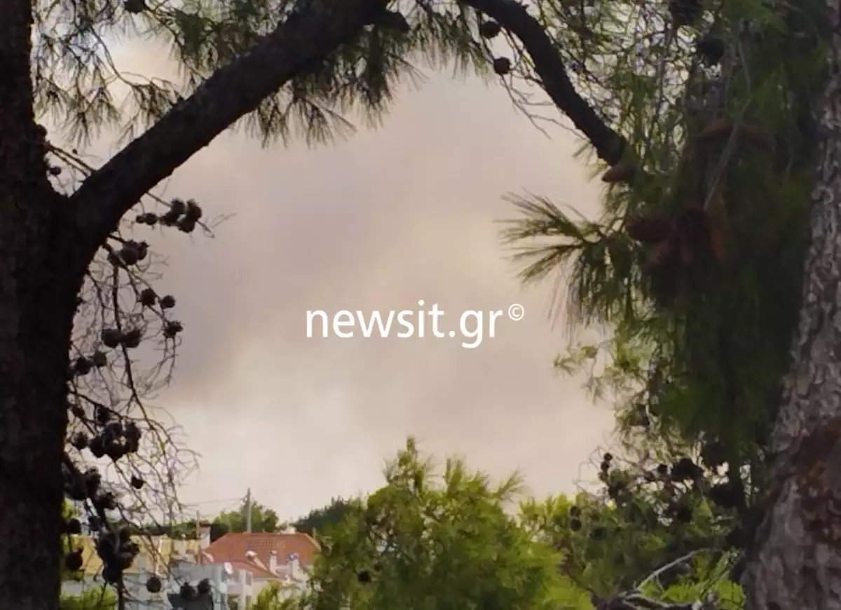 Φωτιά τώρα στη Σταμάτα – Καίγεται δάσος της περιοχής, μήνυμα του 112 στους κατοίκους