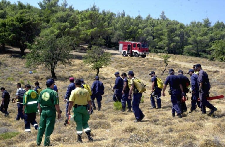 ΑΣΕΠ 8Κ/2024: Δείτε που διορίζονται οι δασοφύλακες