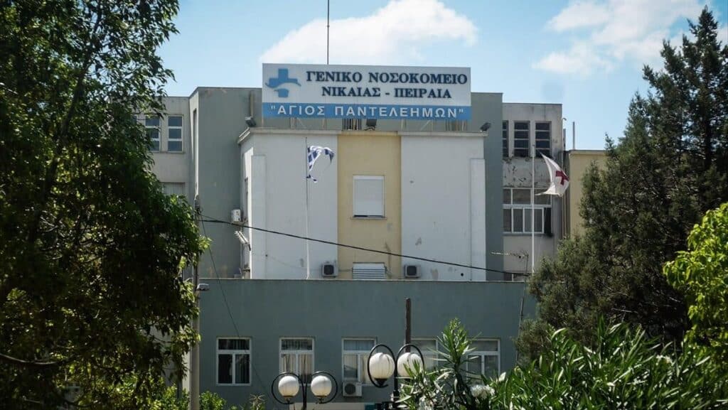 Αδιανόητο περιστατικό στο νοσοκομείο της Νίκαιας: Σφήκες επιτέθηκαν σε ασθενείς