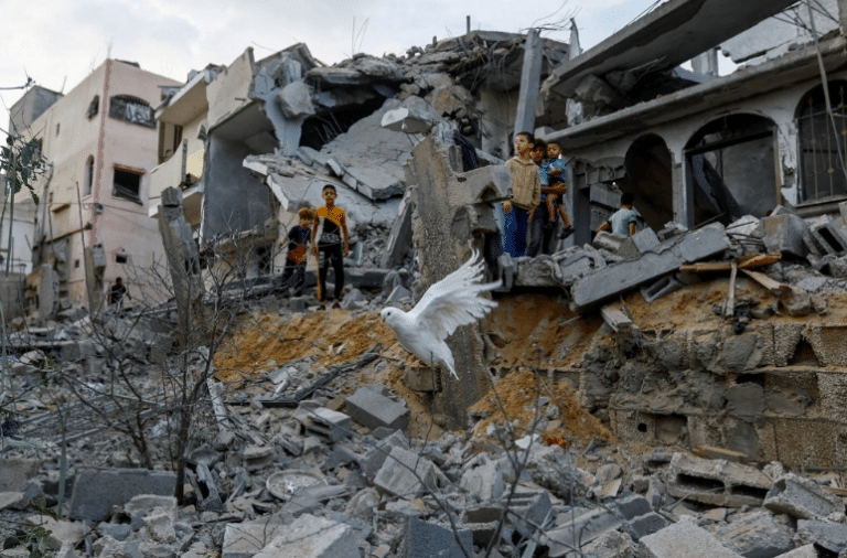 A dove flies over the debris of houses destroyed in Israeli strikes, in Khan Younis in the southern Gaza Strip on Wednesday. | REUTERS