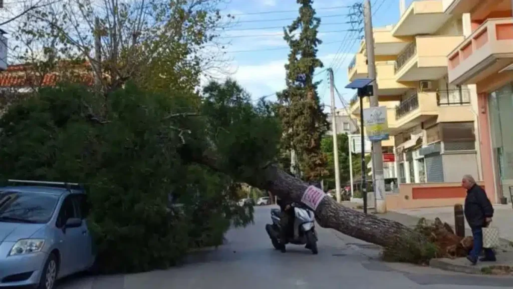 Κακοκαιρία: Σοβαρά προβλήματα και στην Αττική – Ξεριζώθηκαν δέντρα (pics)