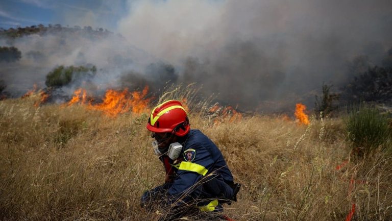 Τρόμος στην Αττική: Φωτιά στη Βάρης – Κορωπίου – Μήνυμα από το 112