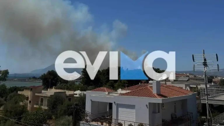 Φωτιά στη Νέα Αρτάκη Χαλκίδας: Απειλούνται σπίτια – Εκκενώνονται οικισμοί