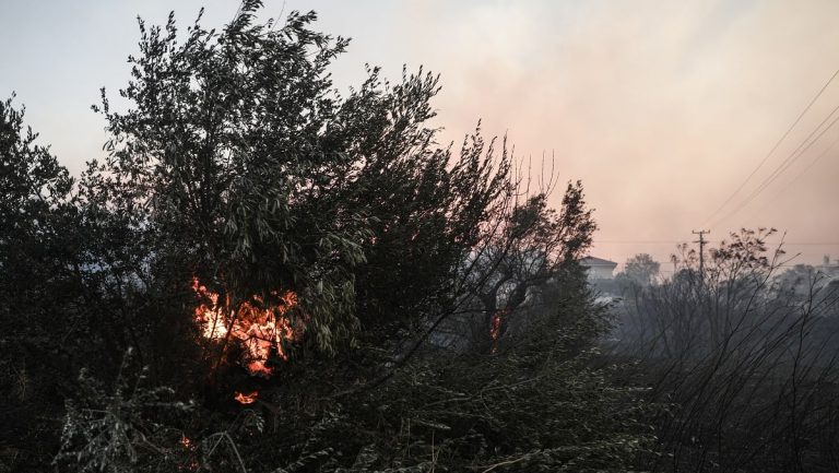 Ισχυρή φωτιά στον Νταού Πεντέλης