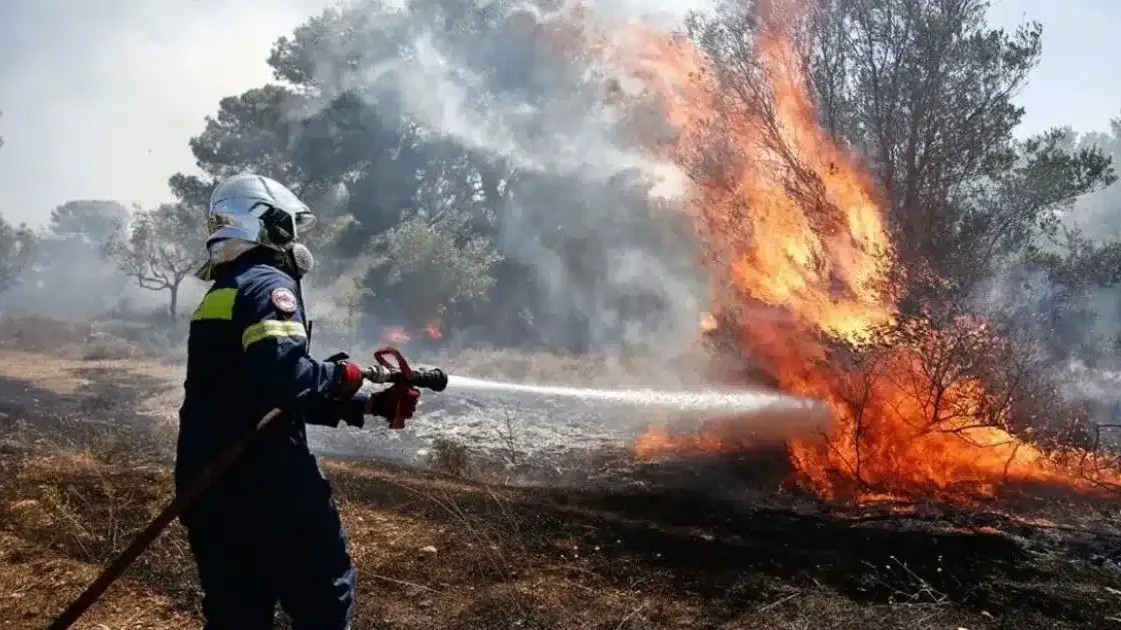 Φωτιά σε δασική περιοχή στις Αφίδνες