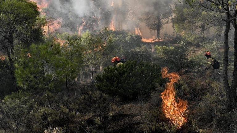 Καίει για 14η ημέρα η φωτιά στο Αχλαδοχώρι Σερρών: Μήνυμα από το 112
