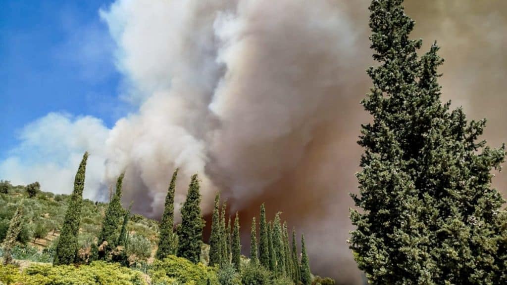 Φωτιά στην Εύβοια: Κίνδυνος για αναζωπυρώσεις – Μπαράζ μηνυμάτων από το 112