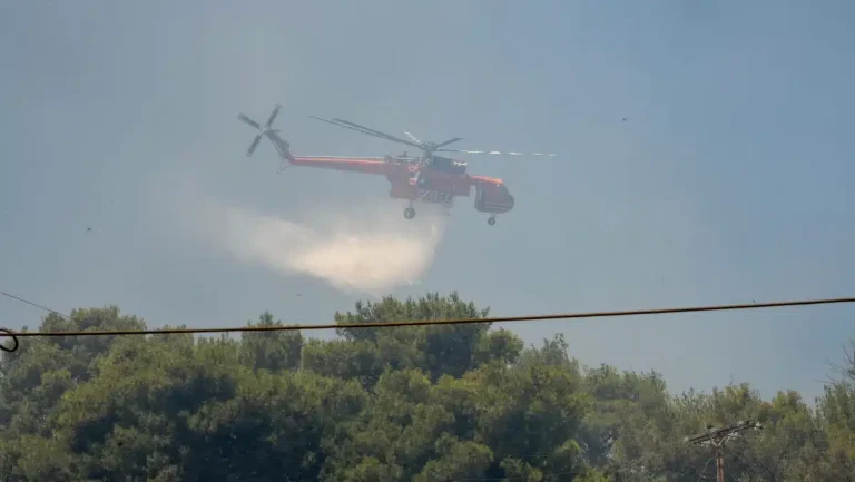 Φωτιά τώρα στην Αλεξανδρούπολη