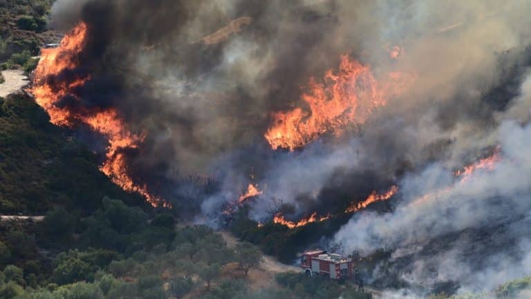 Φωτιά στο Αφράτι Ευβοίας: Μήνυμα από το 112 για εκκένωση