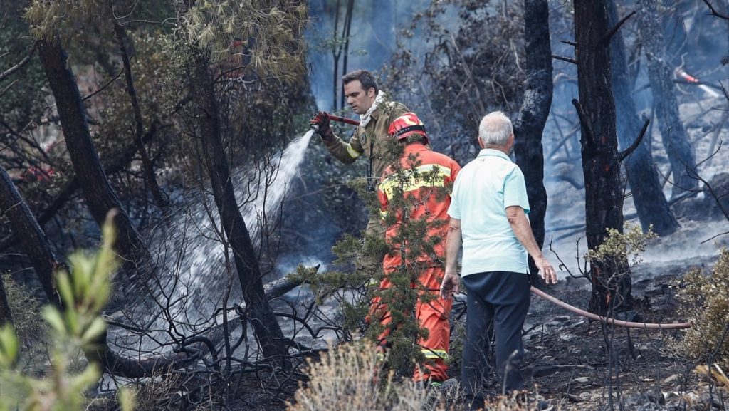Φωτιά στα Γλυκά Νερά: Μια σύλληψη και πρόστιμο 4.675 ευρώ