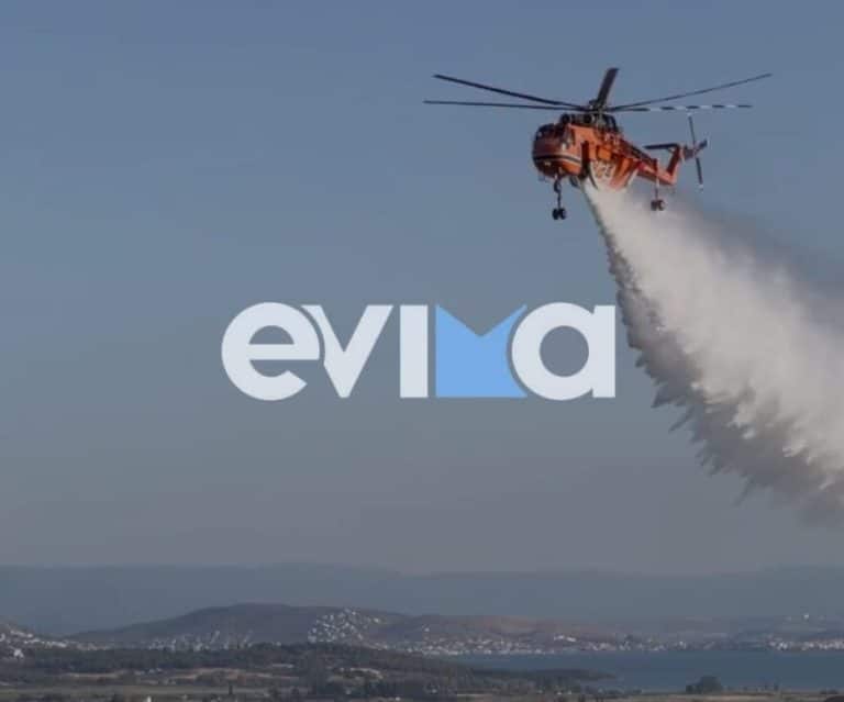 Φωτιά Τώρα: Μεγάλο μέτωπο στα Ψαχνά Ευβοίας – Καίγεται δάσος (vid)