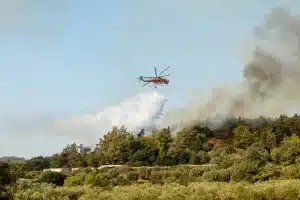 Υπό έλεγχο η πυρκαγιά που ξέσπασε στον Μαραθώνα