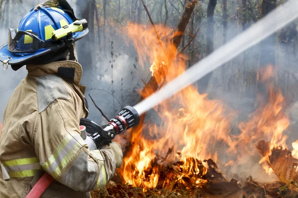 Πυρκαγιά στη Ροδόπη - Εκκενώνεται η περιοχή Αμπελάκια
