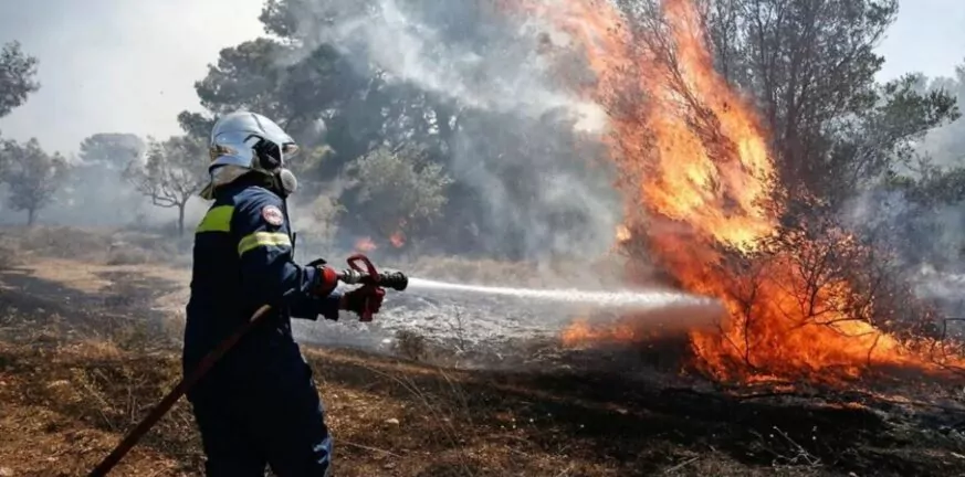 Φωτιά στην Πρέβεζα: Μήνυμα 112 για εκκενώσεις οικισμών