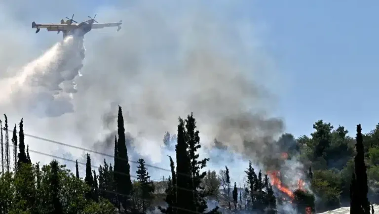 Φωτιά τώρα στην Αρκαδία – Σηκώθηκαν 8 εναέρια μέσα