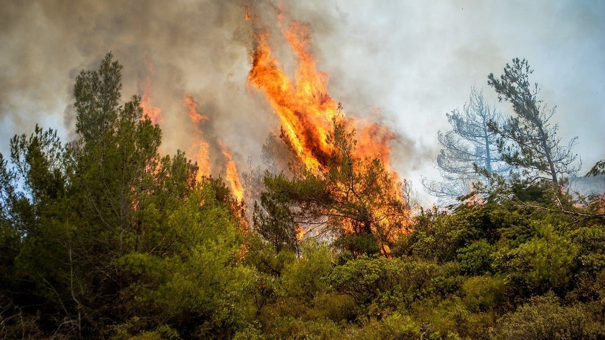 Φωτιά τώρα στη Ρόδο – Καίγεται δασική έκταση