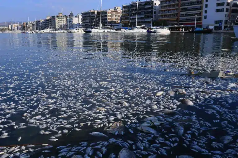 Βόλος: Παρέμβαση Αρείου Πάγου για τα νεκρά ψάρια – Ποινικές ευθύνες αναζητά η Αδειλίνη